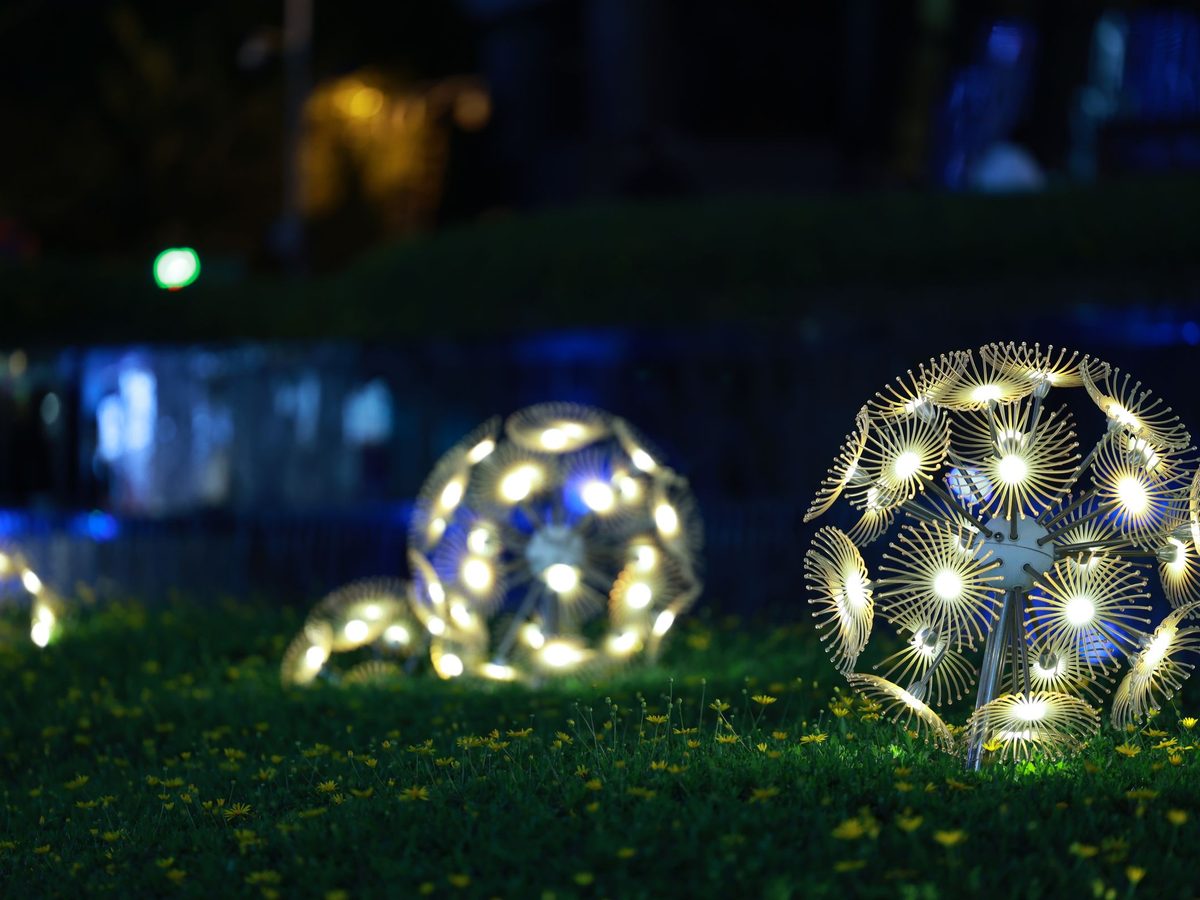 Mise en lumière d'un jardin, Carqueiranne