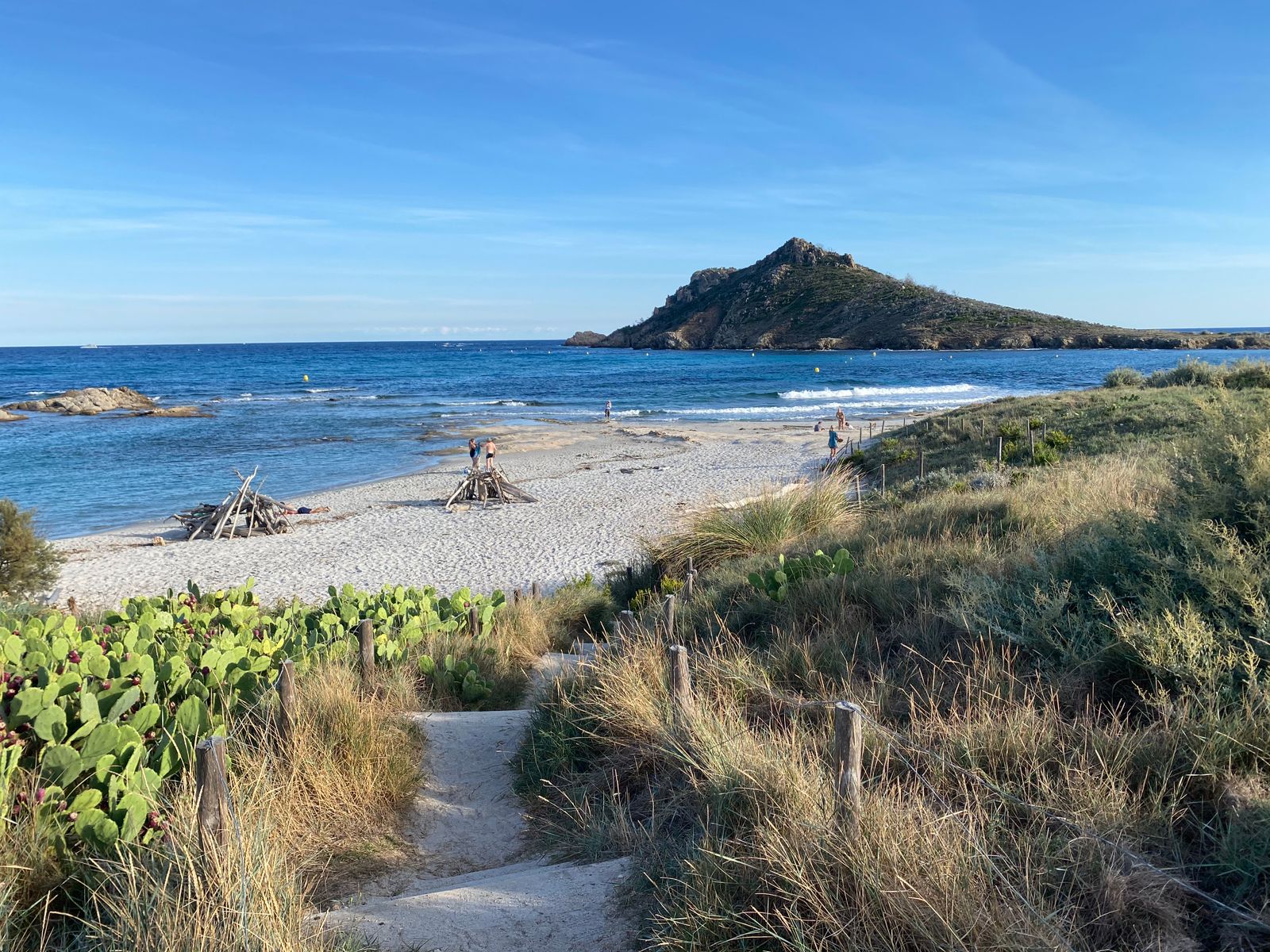 Plage bordée de végétation méditerranéenne sur la presqu'île de Saint-Tropez